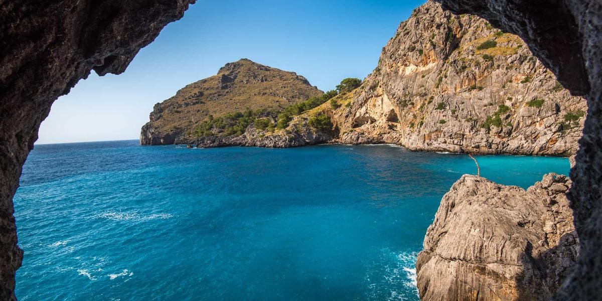 Como delegar tarefas e não perder o controle em Osasco