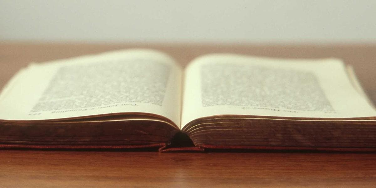 Como evitar retrabalho na prestação de serviços em Recife