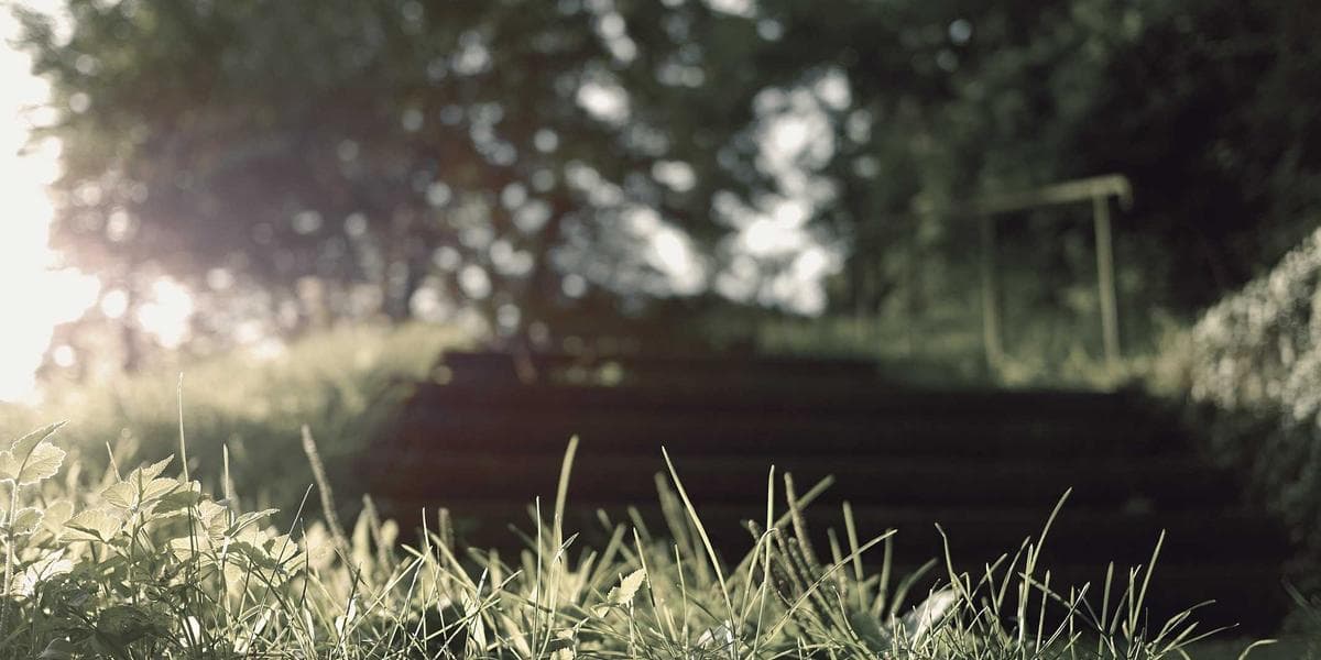 Como fazer a equipe trabalhar sozinha em Goiânia