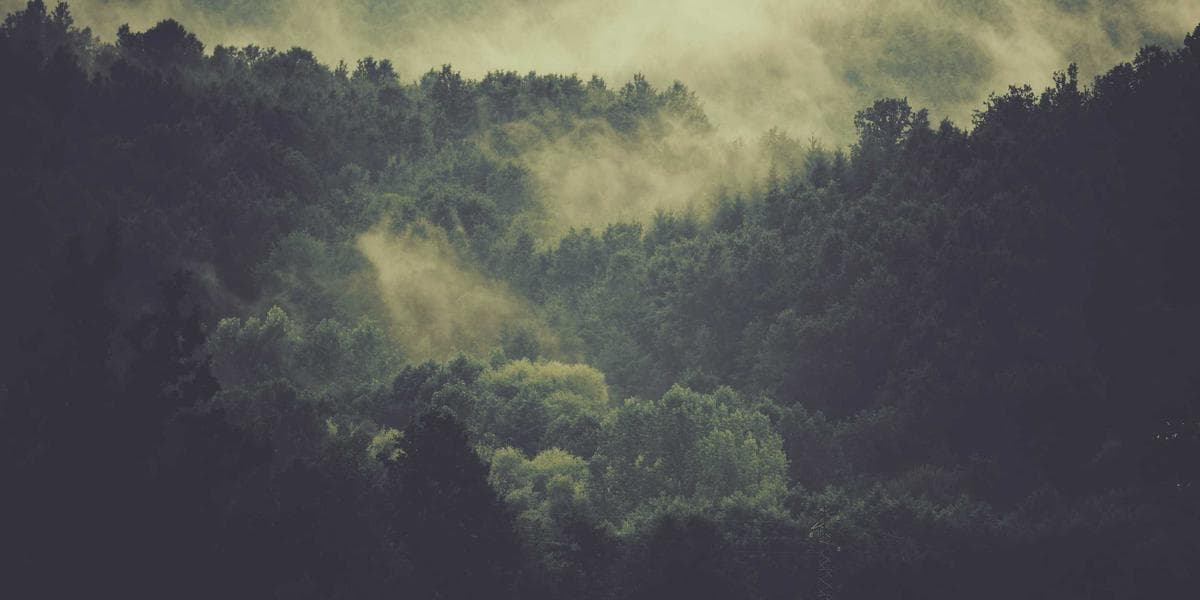 Como fazer a equipe trabalhar sozinha em Rio de Janeiro