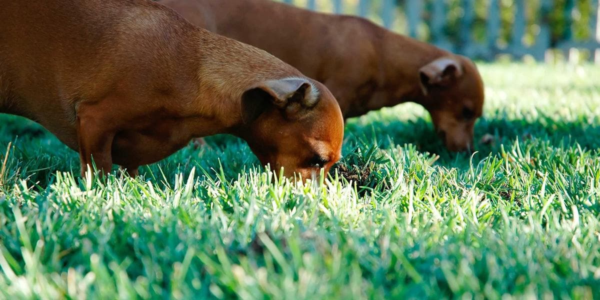 Como organizar o tempo de um empresário em Belo Horizonte