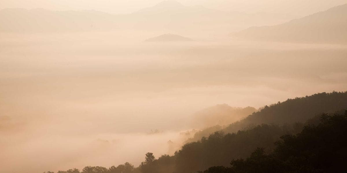 Como padronizar processos internos em Salvador