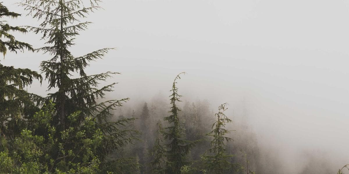 Como parar de apagar incêndio na empresa em Brasília
