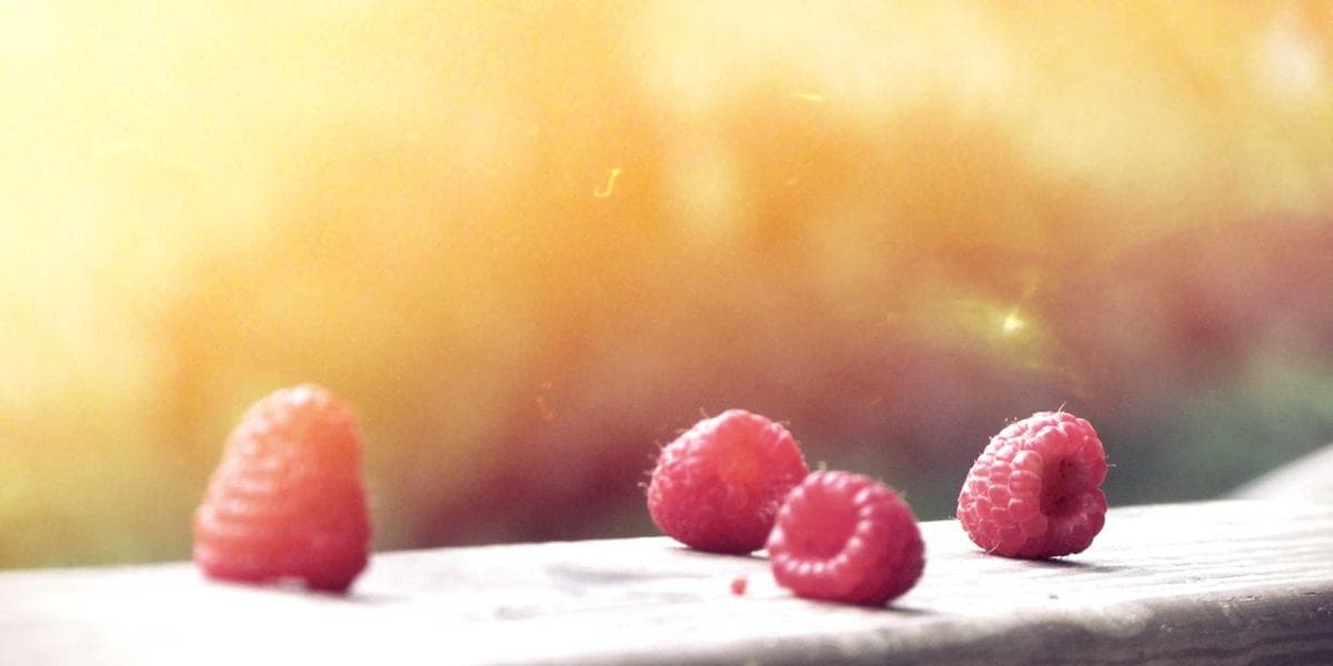 Como profissionalizar uma empresa familiar em Recife