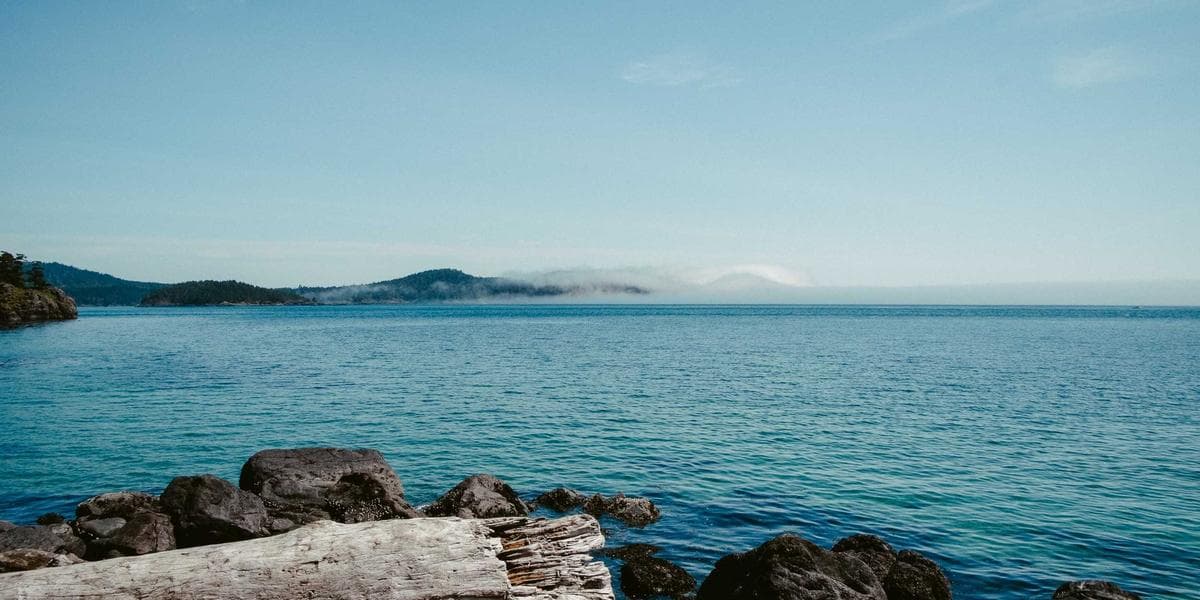 Como sair do caos empresarial