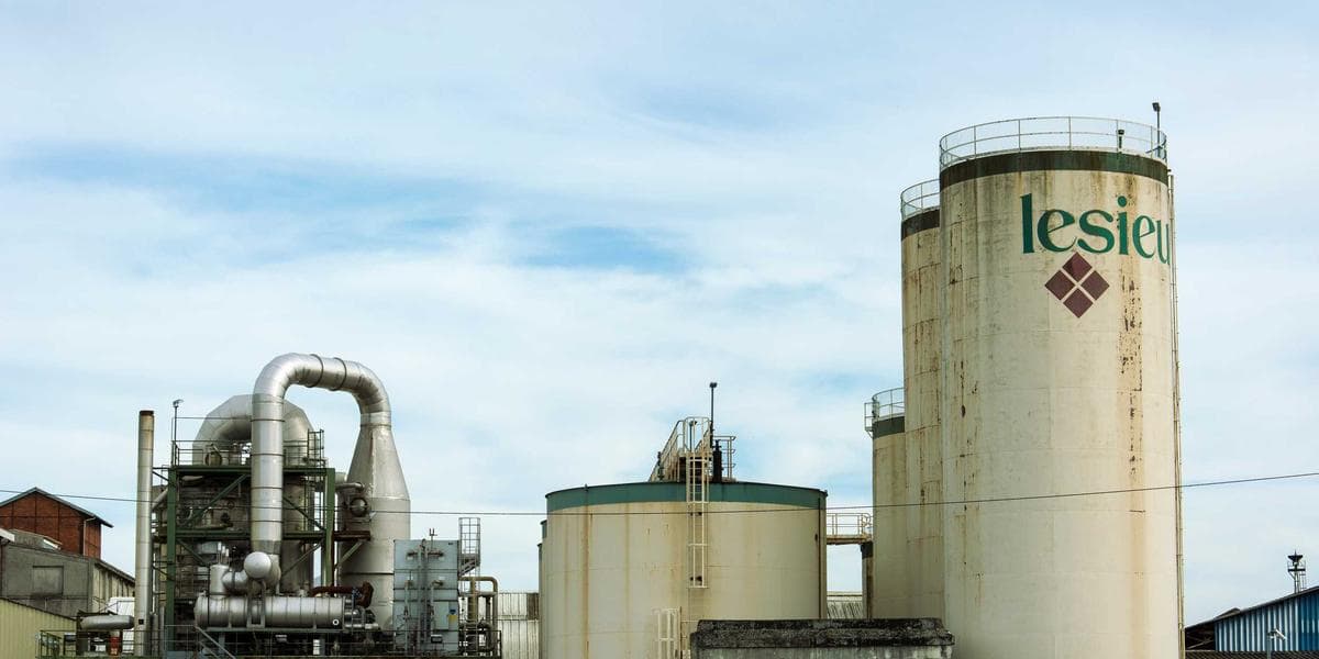 Como ser referência no meu nicho de mercado em Blumenau