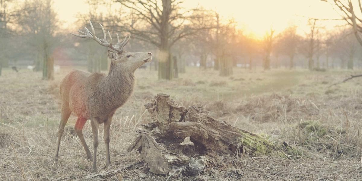 Como ter tempo livre sendo dono de empresa em Belo Horizonte