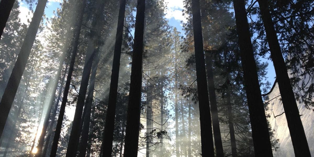 Consultoria de processos empresariais vale a pena em Sorocaba