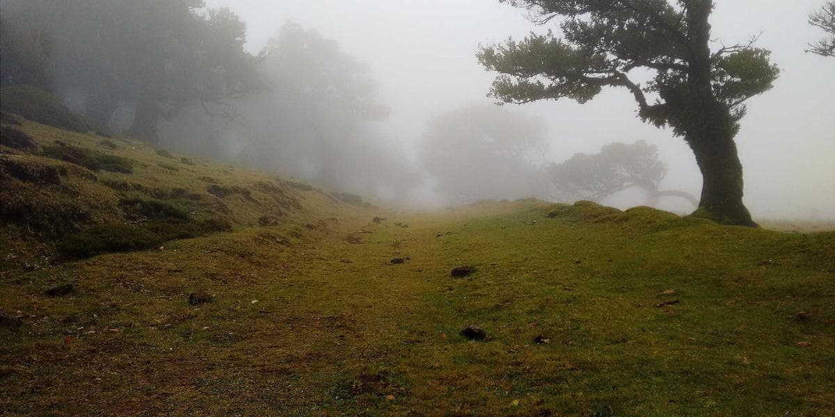 Faturamento montanha russa o que fazer em Salvador