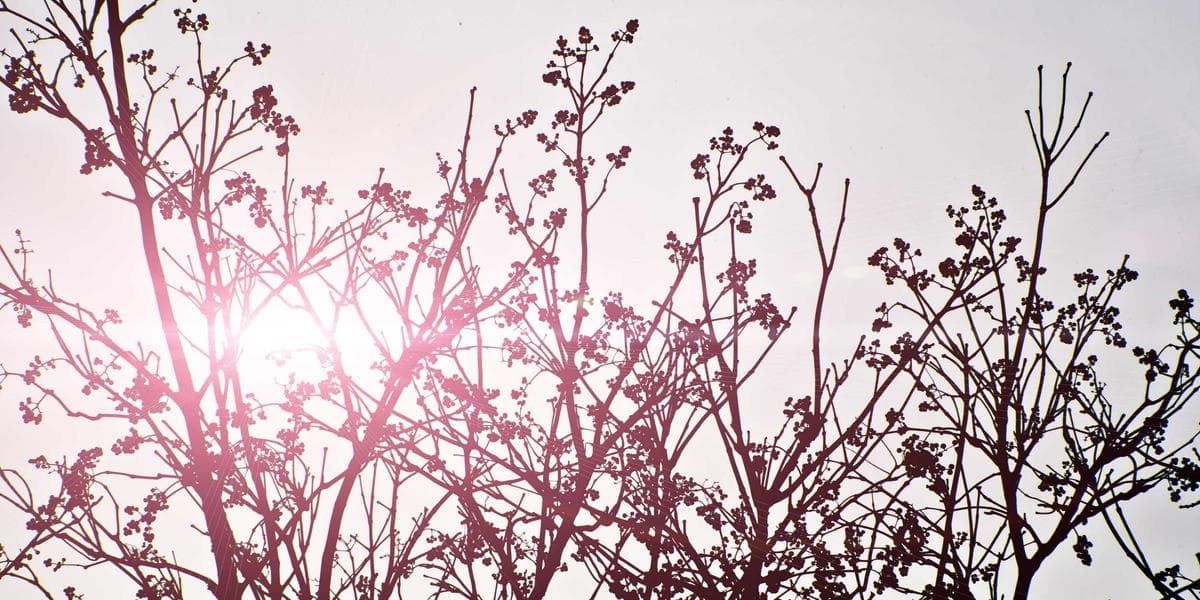 Minha empresa fatura bem mas não dá lucro em Goiânia