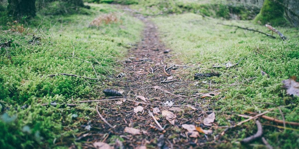 Por que minha empresa não cresce em Curitiba